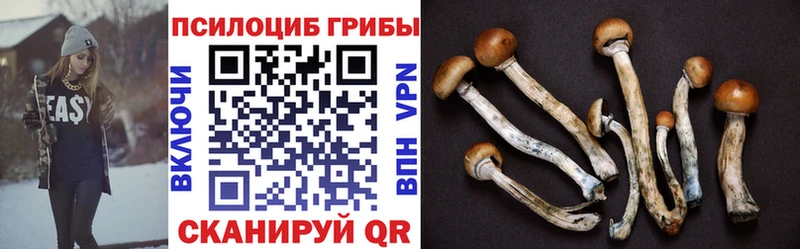 Псилоцибиновые грибы MAGIC MUSHROOMS Тетюши